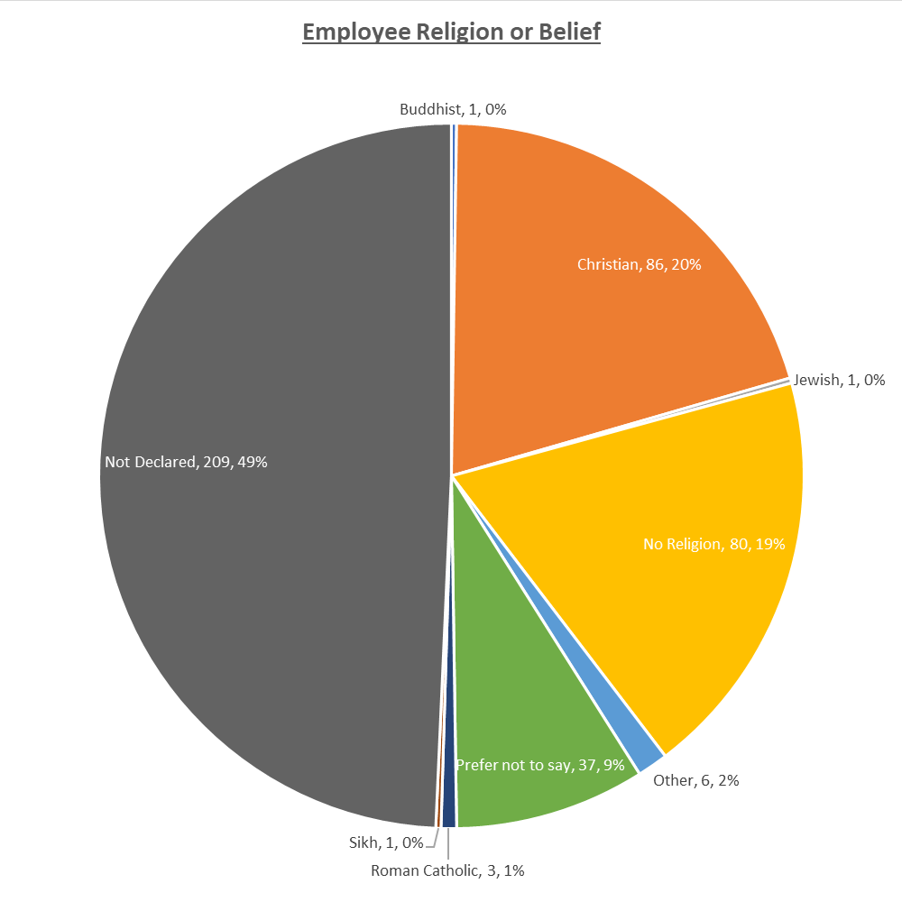 Belief, Christian 86, No Religion 80, Not declared 209, Prefer not to say 37, 6 other, 3 Roman Catholic, 1 Jewish, 1 Sikh